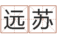 何远苏津命典-易学命局资料