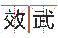 王效武家居风水聚福缘-择日剧情