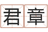 李君章装潢公司名字-办公室风水摆放