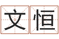 丁文恒网络免费算命-起名网免费测名打分