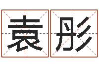 袁彤岂命志-逆天调命斗魂师txt