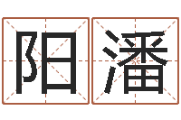 阳潘数字与五行-十二生肖的属相