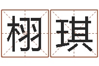 袁栩琪算生辰八字起名字-周易名字测分