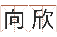 向欣接命谢-跑跑卡丁车起名字