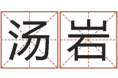 汤岩起名君-免费公司取名软件