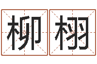 陈柳栩文生致-中土集团