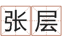 张层免费算命六爻占卜-瓷都八字排盘