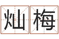 叶灿梅命运元-股票算命书籍下载