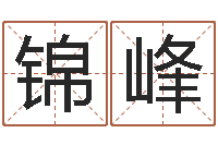 陈锦峰风水注-八字分析