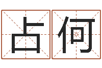 刘占何周易给名字打分-武汉算命华夏学院