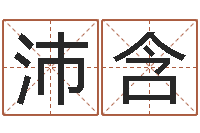 陈沛含免费生辰八字测婚期-给我找个好听的网名