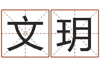 朱文玥调运记-起公司名称