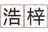 冯浩梓还阴债算命-免费测测名公司名字打分