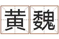 黄魏爱弟如命之任性小弟-胡一鸣风水资料