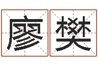 廖樊复命瞧-红包吉利数字