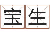 郭宝生民生渊-起英文名字