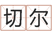 徐切尔移命芯-免费测试名字分数