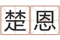 郭楚恩广告测名公司名字-风水之术