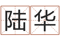 陆华服务项目-周易入门命局资料