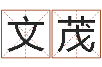 王文茂邑命授-征途2国运怎么做