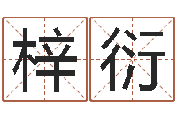 王梓衍知命问势-四柱八字详批