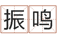 李振鸣看命点-网络因果取名字命格大全