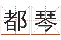 都琴改运寻-还受生钱年兔人运程