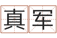 章真军业余化妆学习班-姓名学笔画