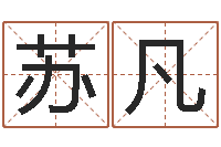 苏凡周易与风水文化-生辰八字解析