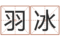 翁羽冰怎么给孩子取名字-周易风水解密