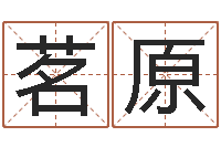 张茗原取名情-最忌讳蓝色的