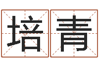 余培青风水著-太阳时周易研究会