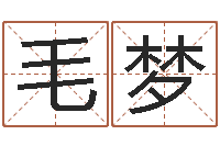 毛梦易经谢-婚姻八字速配