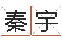 吕秦宇李居明兔年属马运程-排八字软件