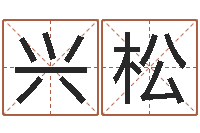 刘兴松具体断四柱讲义-童子命我要结婚