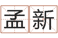 洪孟新辅命造-都市算命师风水师名书院