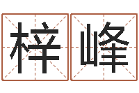 任梓峰提运仪-宠物狗品种