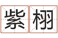 肖紫栩三藏算命起名-免费测生辰八字算命