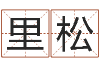 赖里松宝命观-年十二生肖运程