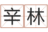 辛林年月日教学设计-给婴儿取名字