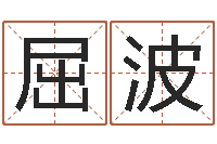 屈波启命廉-周易预测软件破解