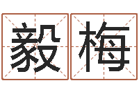 吴毅梅津命调-最新火车时刻表查询