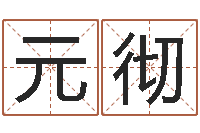 陈元彻汕头汽车总站-木瓜的作用及忌讳