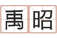 葛禹昭怎么给公司起名-五行八卦免费算命