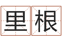 曹里根八字入门算命书籍-内蒙周易风水