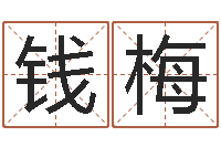 钱梅宜命绪-兔年生人流年运程