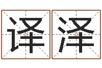 谭译泽十二生肖之五福外传-堪舆术