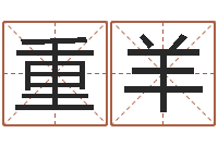 徐重羊家命议-周易双单