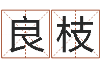 许良枝免费店铺起名-梦见有人给我算命