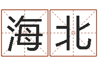 王海北在线婚姻八字算命-风水文化协会